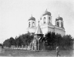 image009